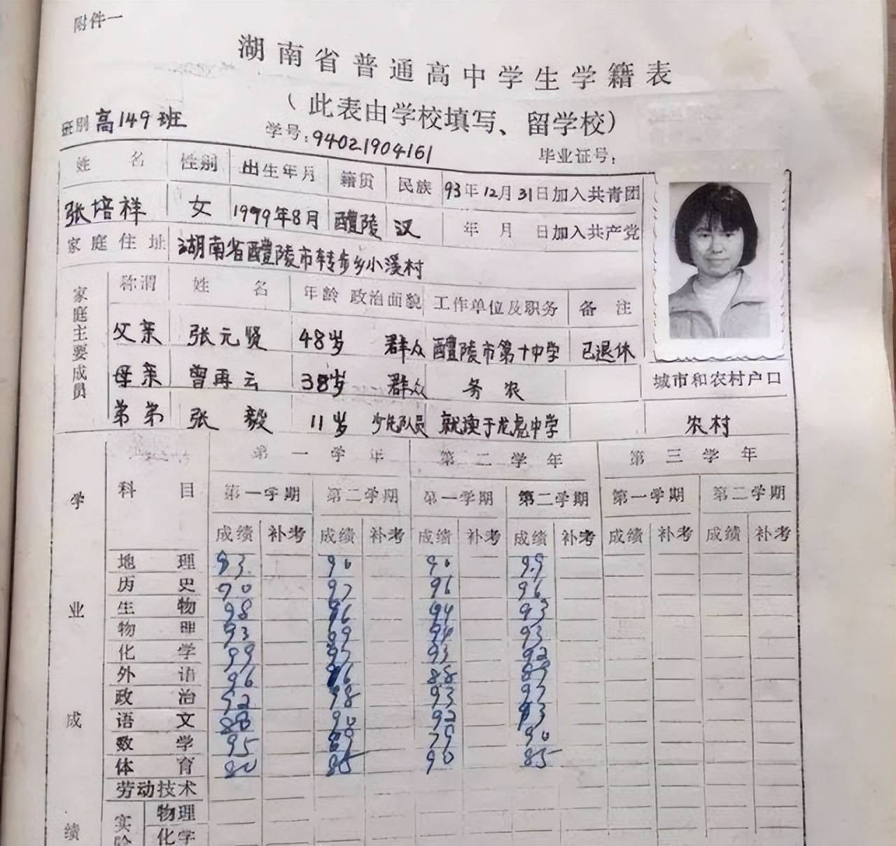 文章配图-3