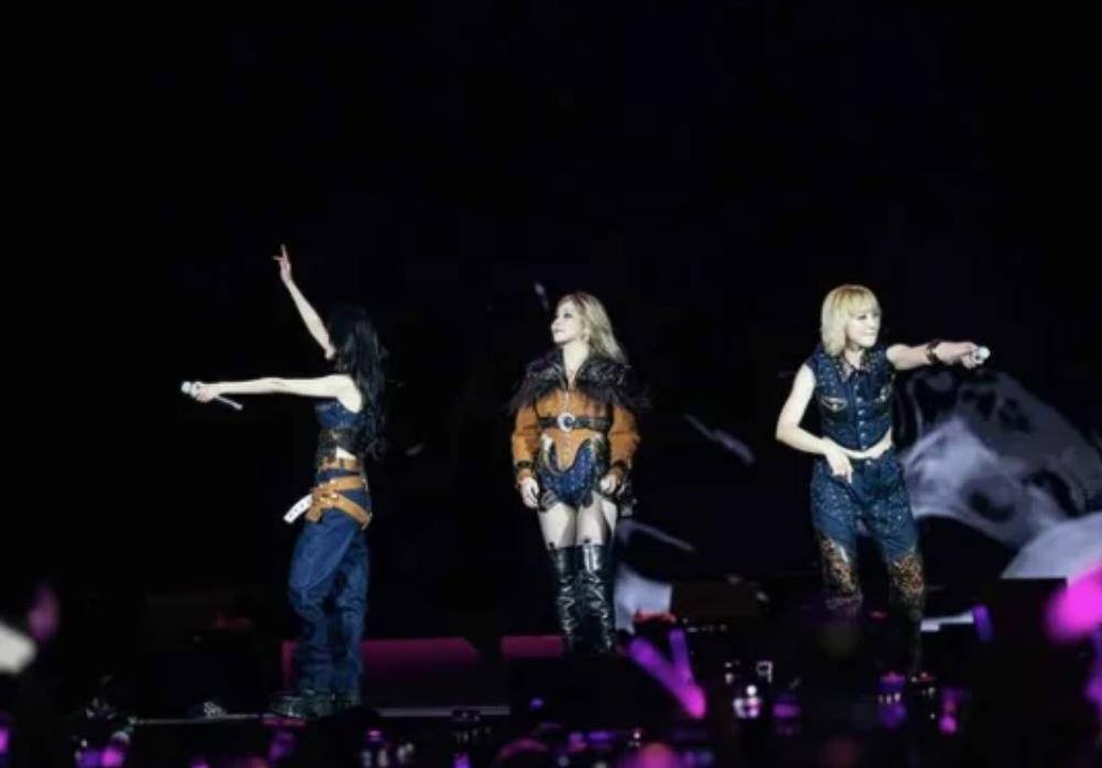 韩媒:2NE1美国演出时,朴春在韩国 插图2 韩媒:2NE1美国演出时,朴春在韩国 插图2