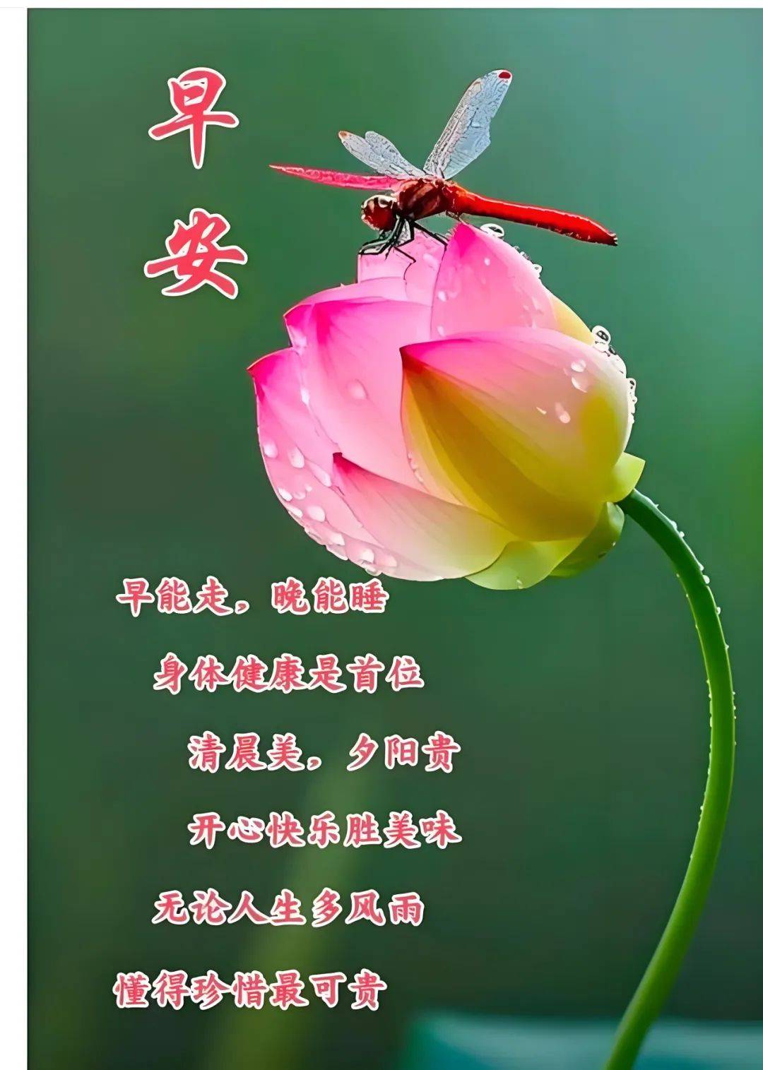 微信问候语的真情实感