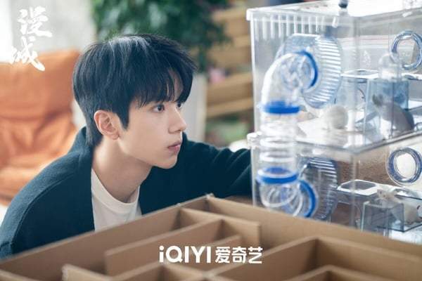 2025男主涨粉量TOP10 第一涨粉破百万