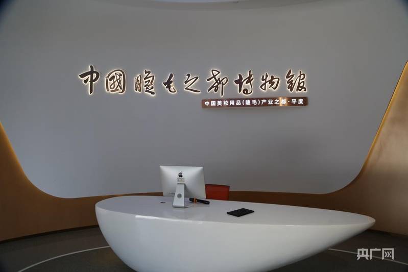 民营经济新观察丨“小”睫毛如何“眨出”百亿级大产业？