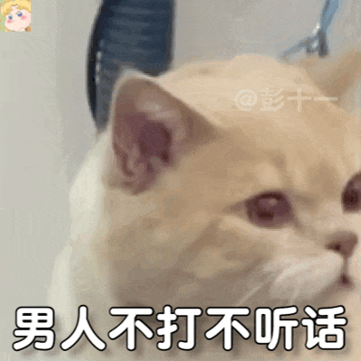 又能怎?表情包(单依纯打野版)