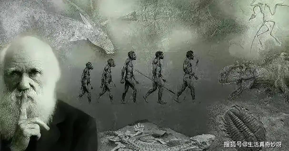 深度科普：地球上本来没有人，那么第一个男人和女人是怎么来的？