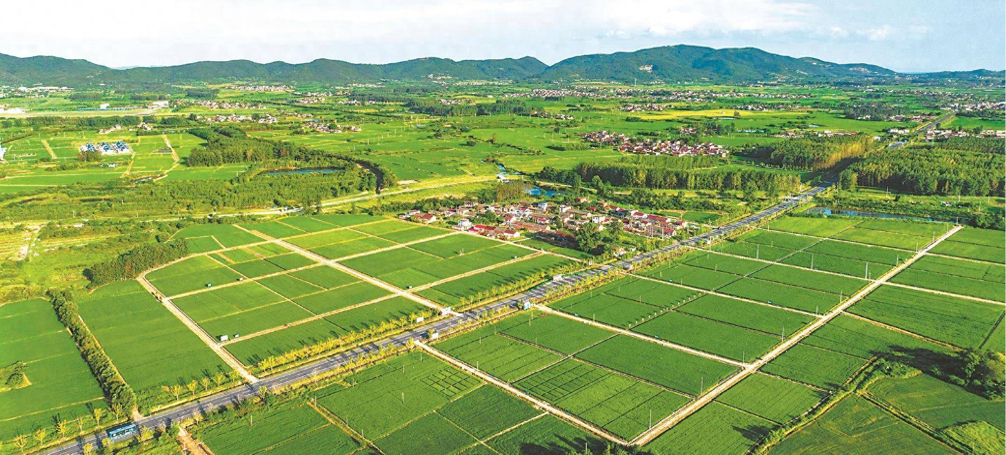 农发行瑞安市支行:全面助力土地综合整治,绘就和美乡村新画卷