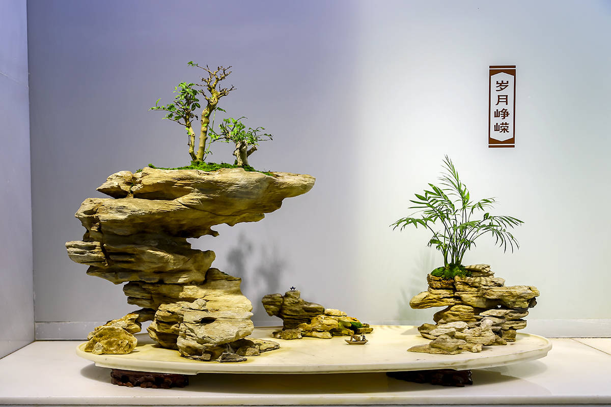 靖江西郊盆景园 方寸陶盆容万里山河