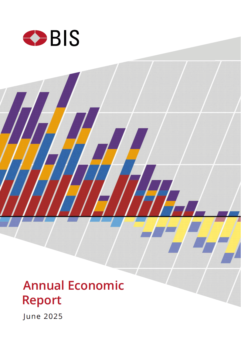 国际清算银行：2025年度经济报告（英文版）_搜狐网