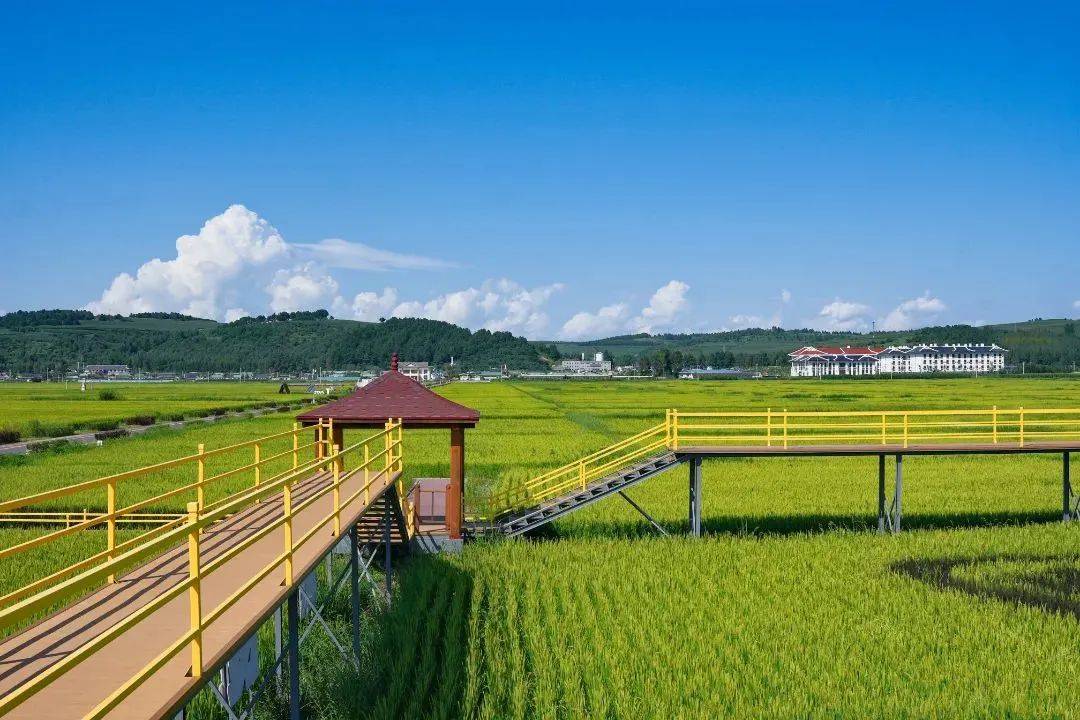 供需错配困局下，乡村文旅如何实现从量变到质变？（下）