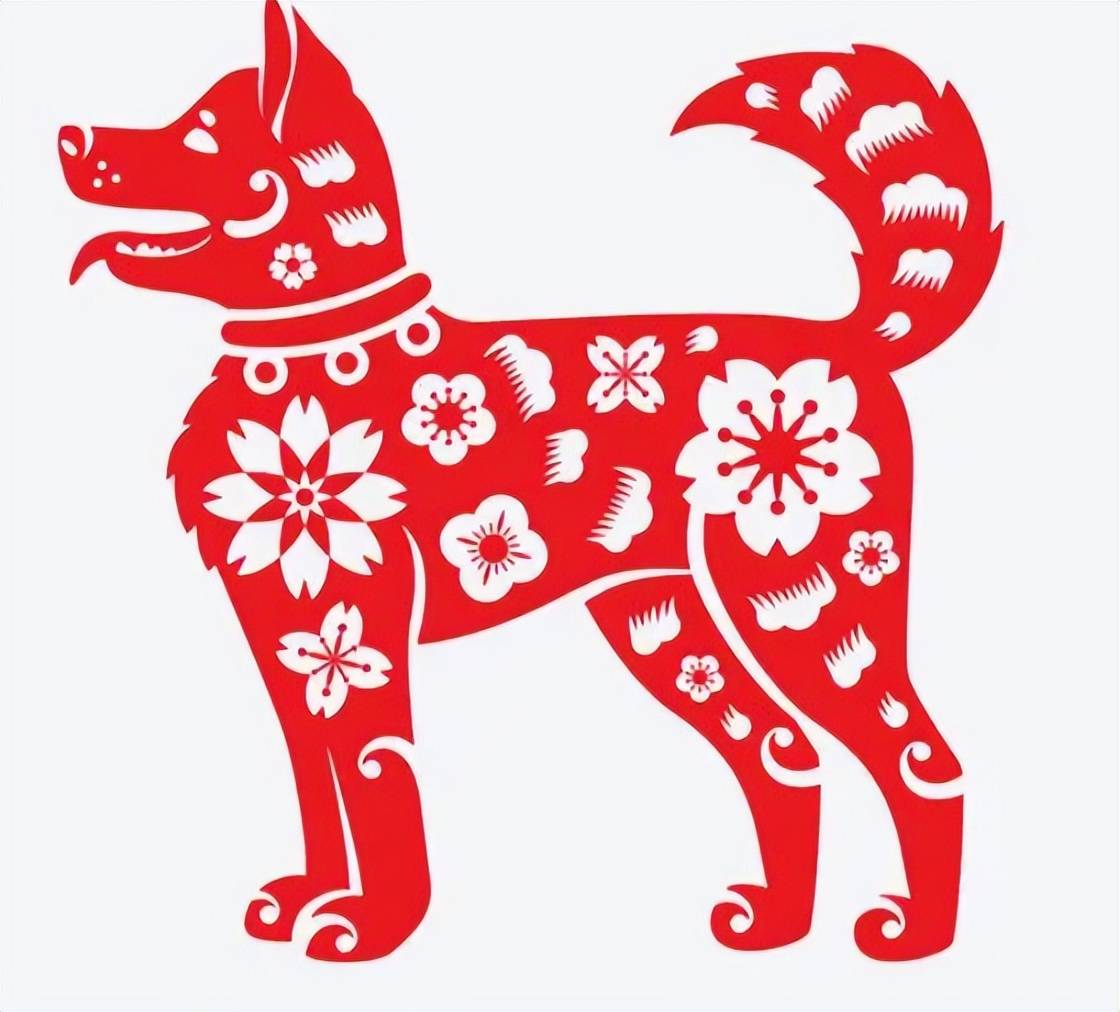 生肖狗10月出生运势好吗(生肖狗十月出生)