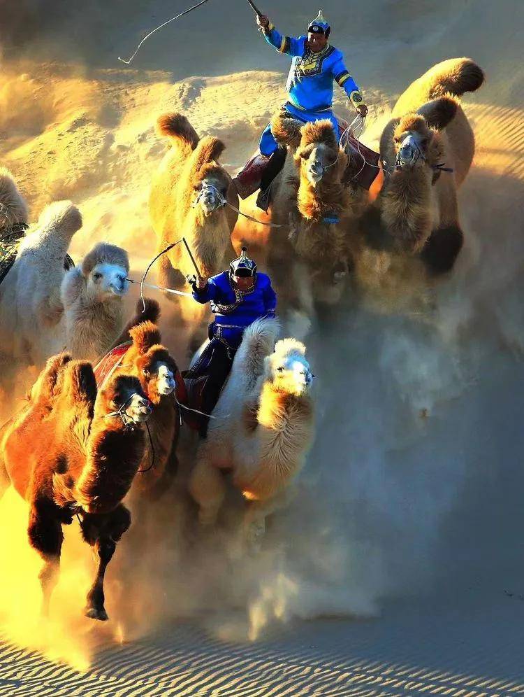 老边沟,关门山,红海滩国家风景廊道,奈曼旗骆驼冲沙,蒙古族情景人像