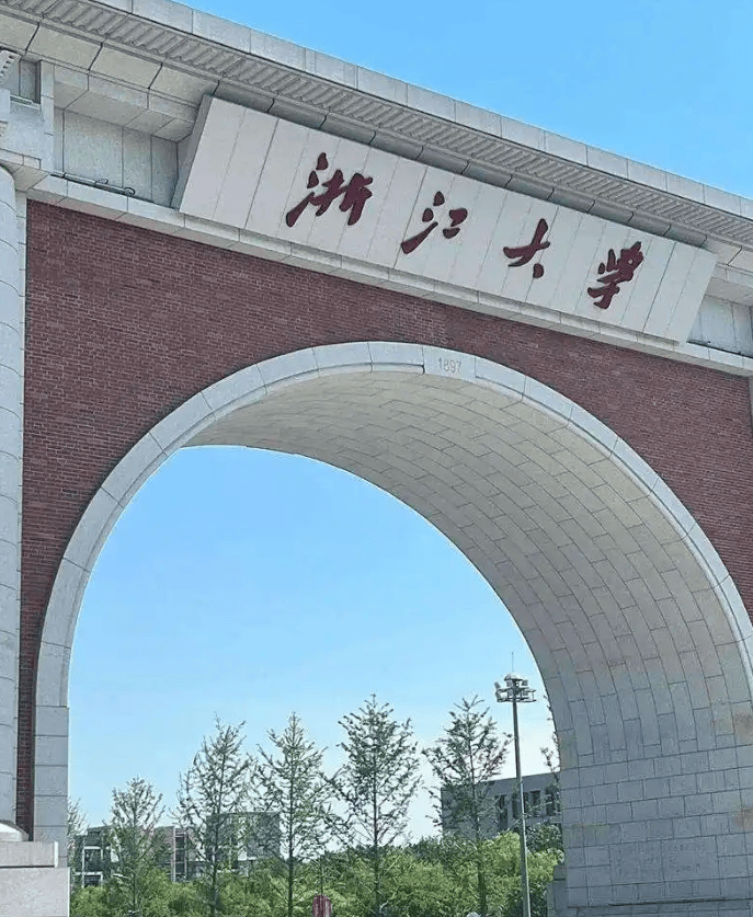 “有痕迹，但没有大脑。”一个在大学入学评论