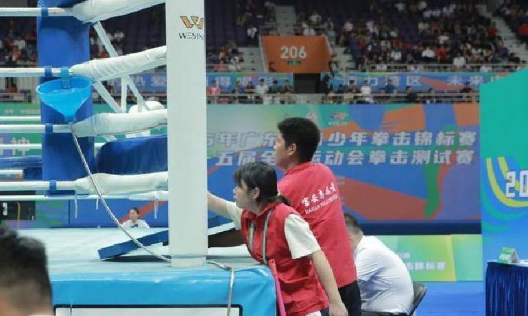 宝安拳击赛志愿者团队：幕后英雄的成长与奉献