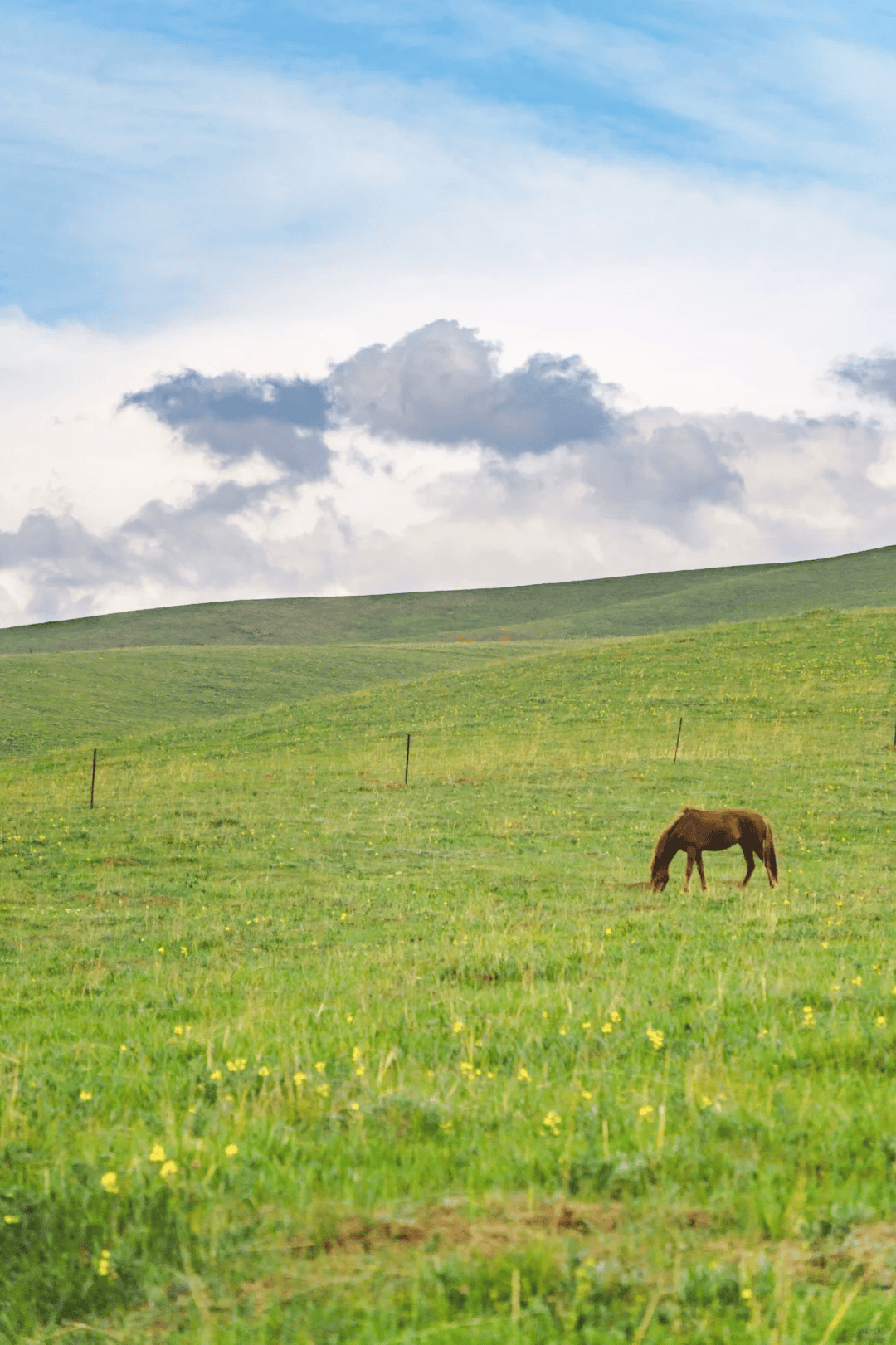 20℃ 人少景美0高反,不去血亏～