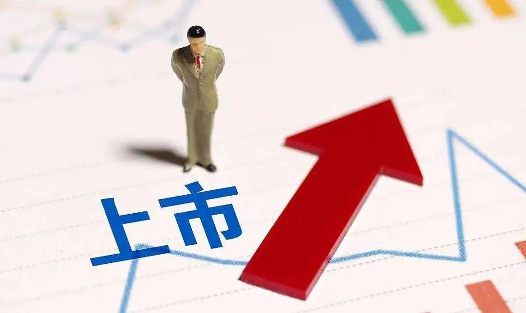 透视涂丨上市是涂料企业的“救命稻草”还是“达摩克利斯之剑”？ 