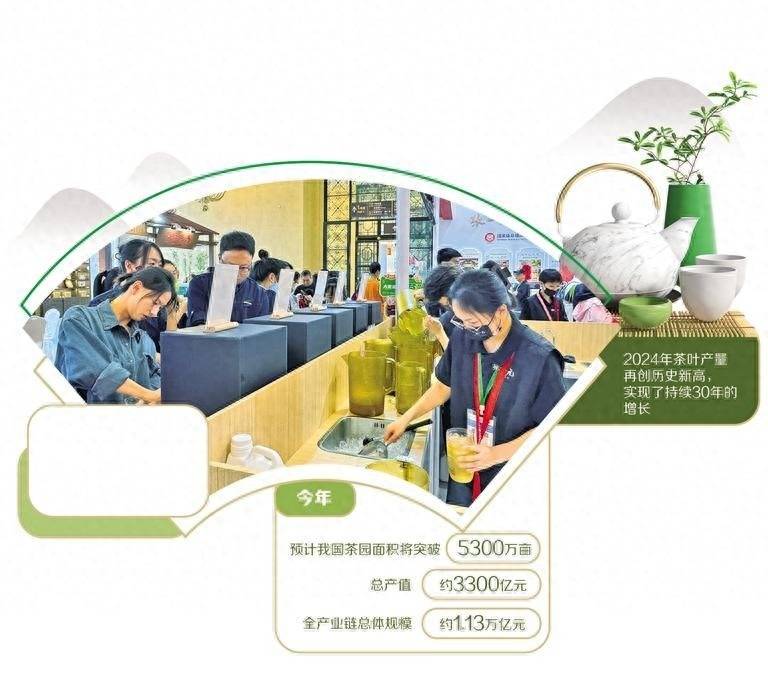 北京国际茶业展览：茶业已经取得了许多创新，