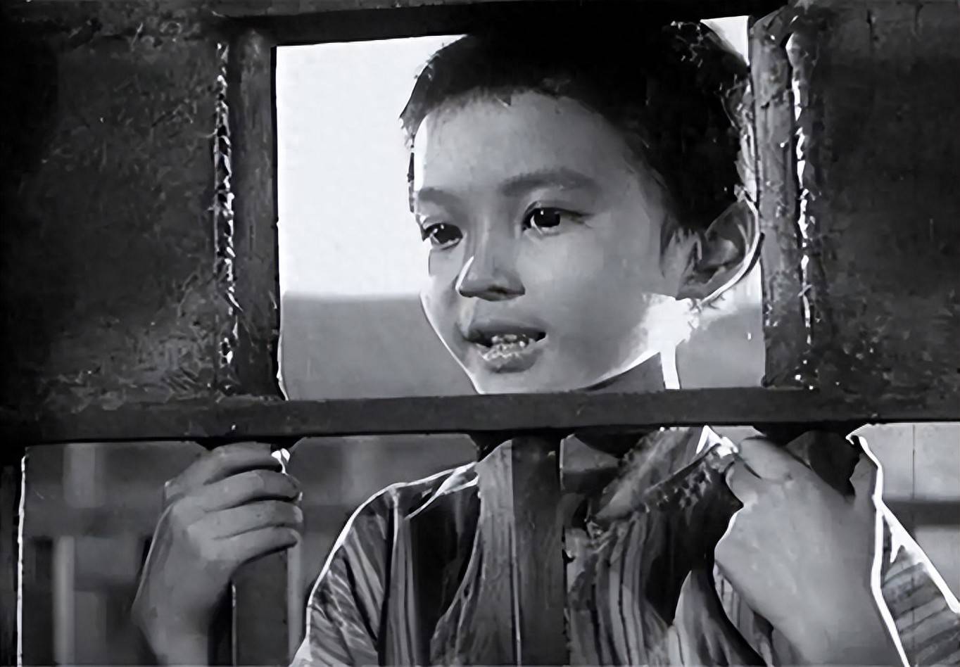 1949年,徐林侠哭着对特务说:放了小萝卜头吧,就让他讨饭去吧