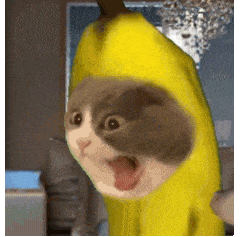 香蕉猫啊内猫happy猫耄耋猫啊呜猫怪叫狗啊?猫薯片猫震惊猫