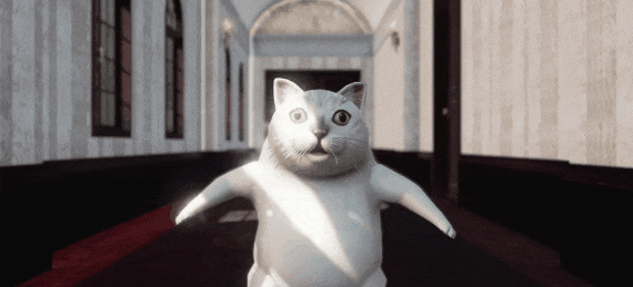 mur猫表情包火爆网络