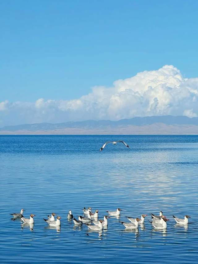 来青海西宁旅游，西北美景和美食，太值得打卡了！