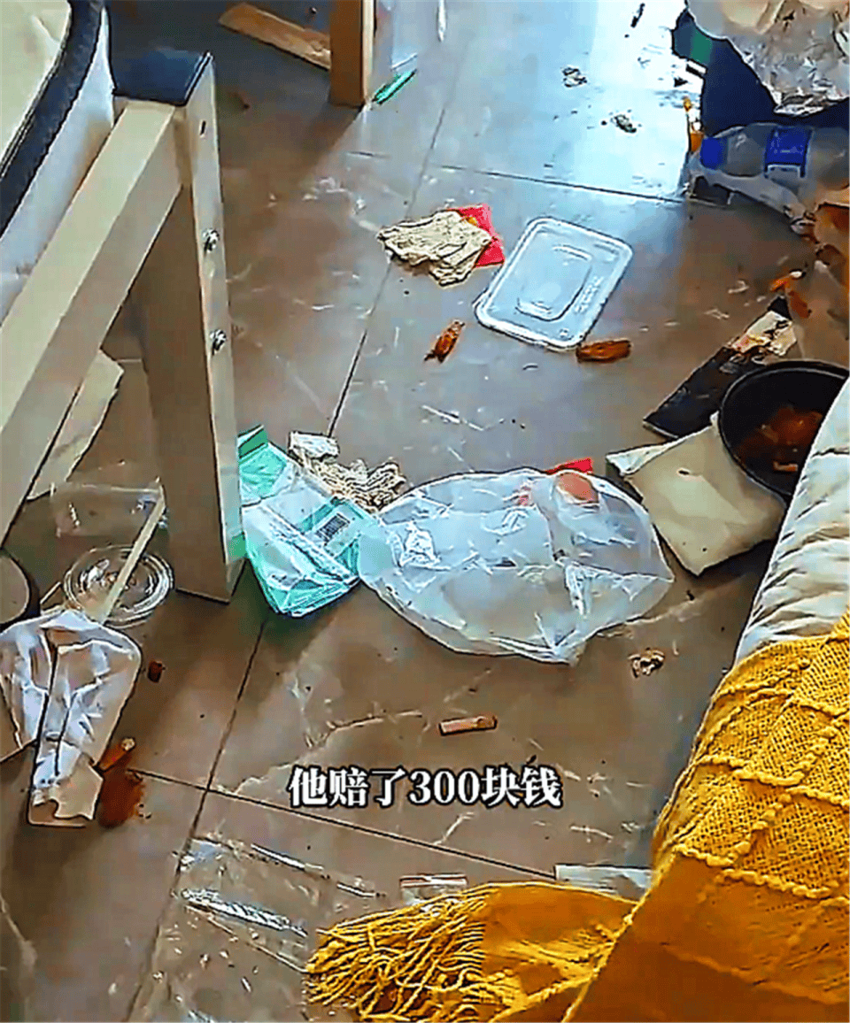 烟头槟榔遍地,床上满是辣条油,染血床单被藏进衣柜