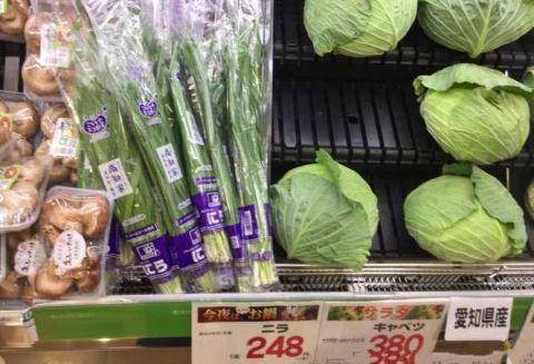 图片[3]-在日本生活一天要花多少钱？这样物价你能接受吗？一颗葱花9块钱 -华闻时空