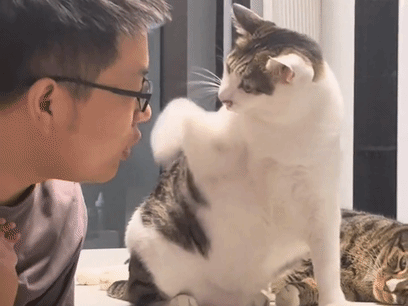 别碰我!