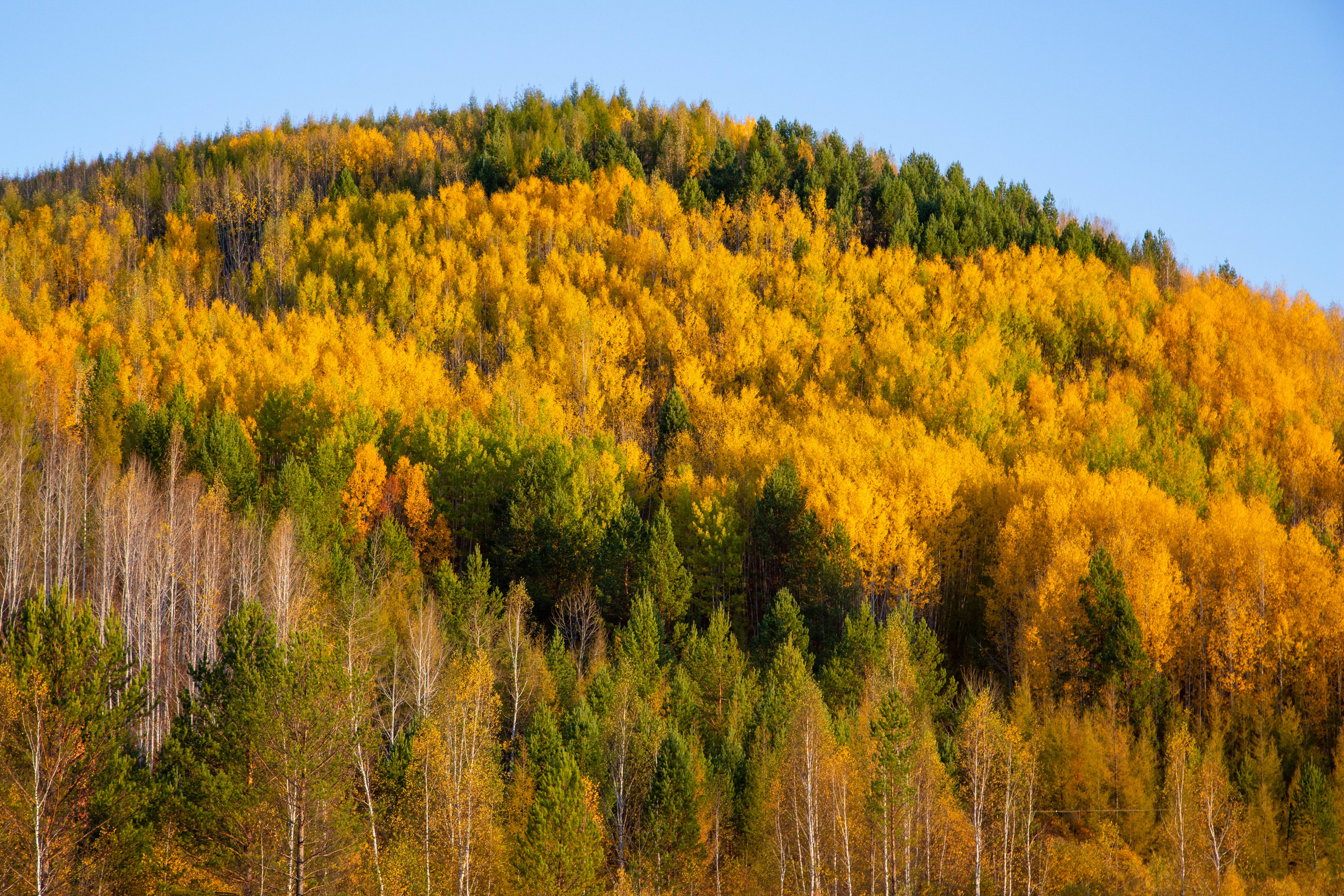 大兴安岭国庆带娃行不踩雷!超全攻略含亲子路线,近景区住宿