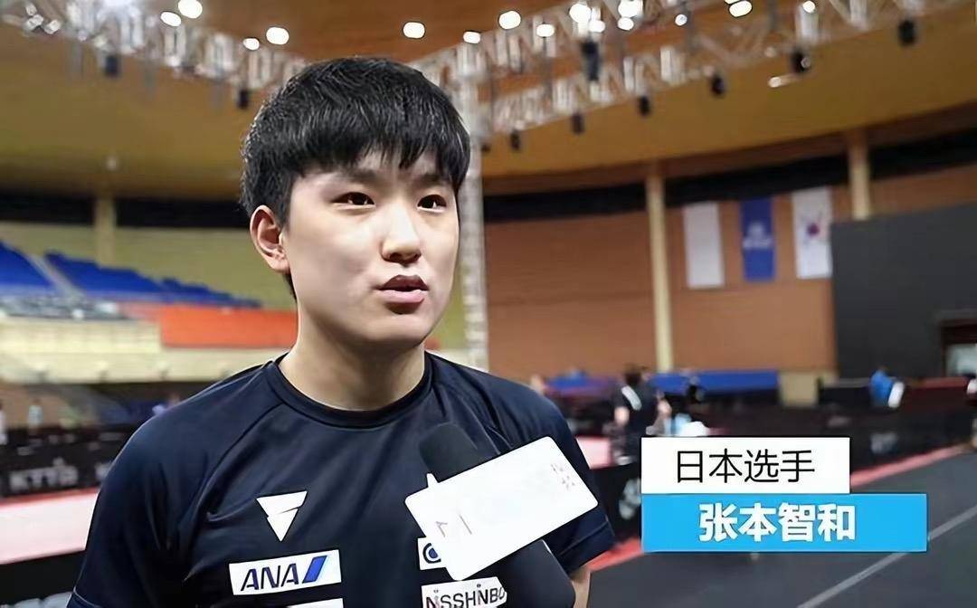 日本乒协取消补贴引发争议：张本智和或面临退队抉择