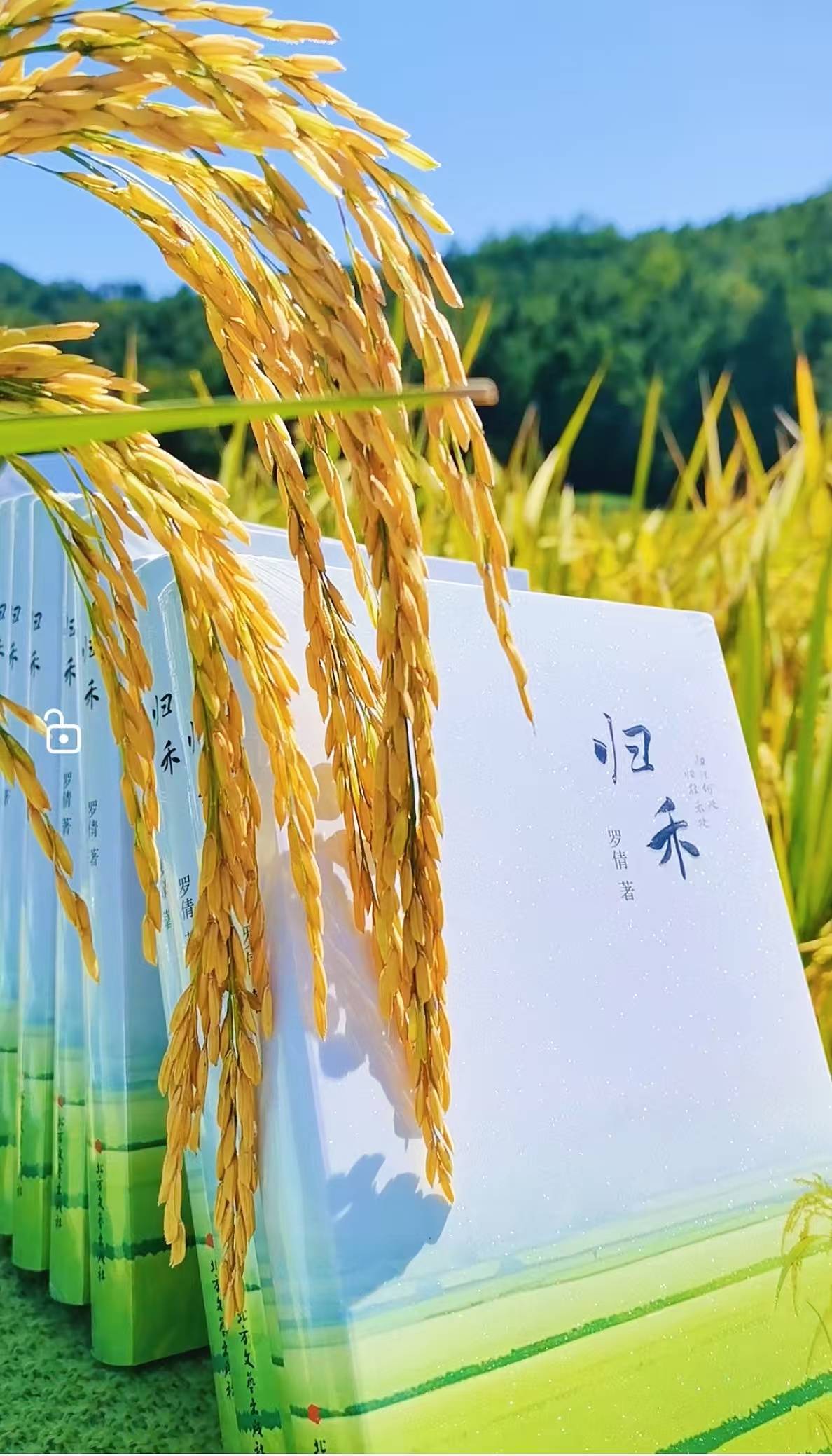 的经历至今印象深刻有一次我们跟着他去稻田他轻轻托起稻穗的样子