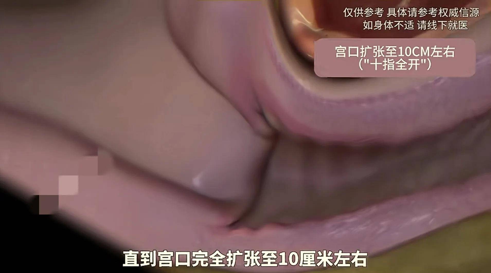 顺产全过程模拟,隔着屏幕都感觉疼,感恩伟大的妈妈
