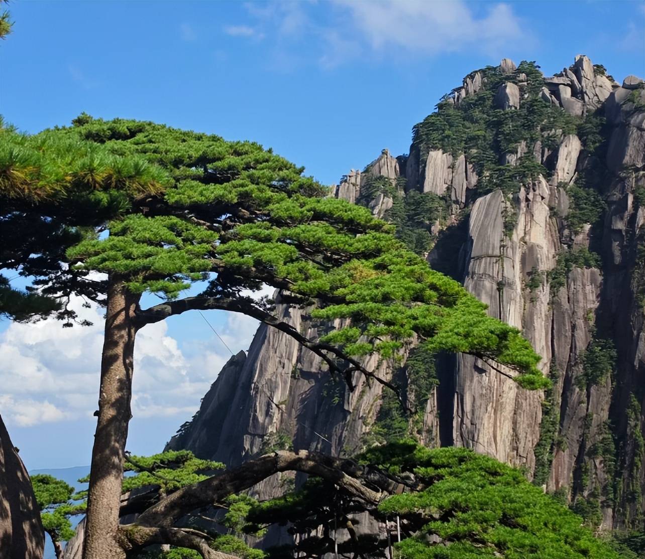 黄山跟团游
