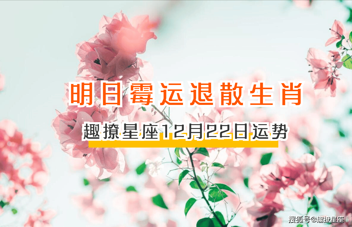 11月1日生肖运势小播报(11月1日属相)