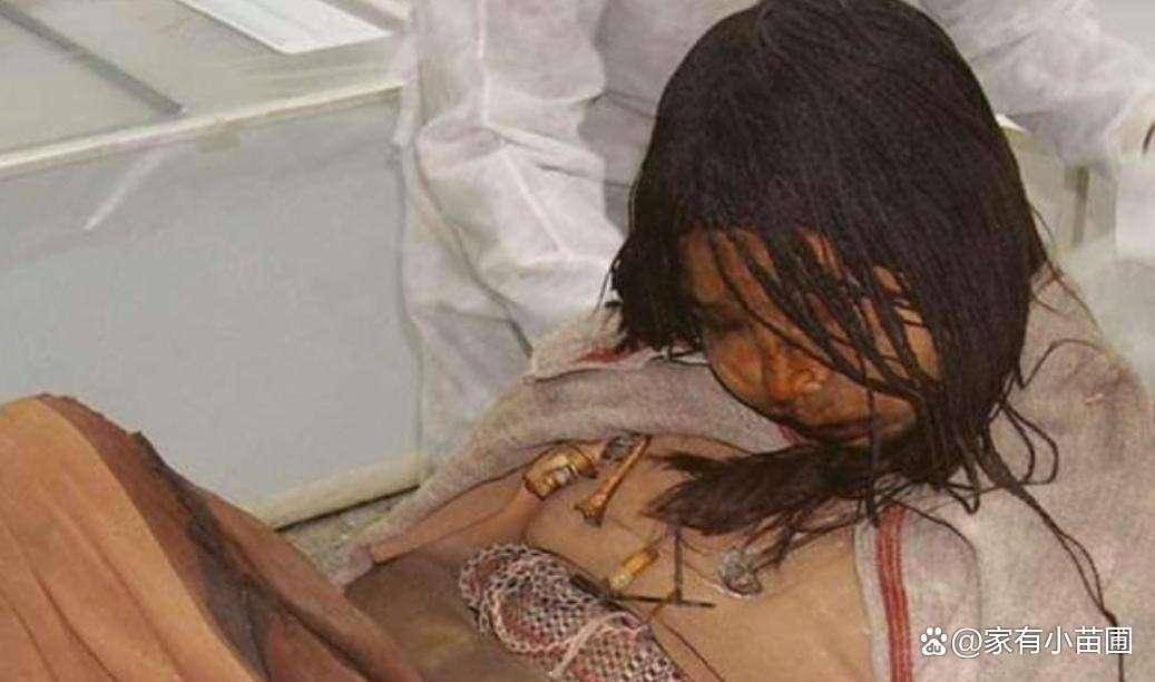 6700米安帕托山惊现500年少女遗体!美国秘鲁联手揭开印加祭祀秘密