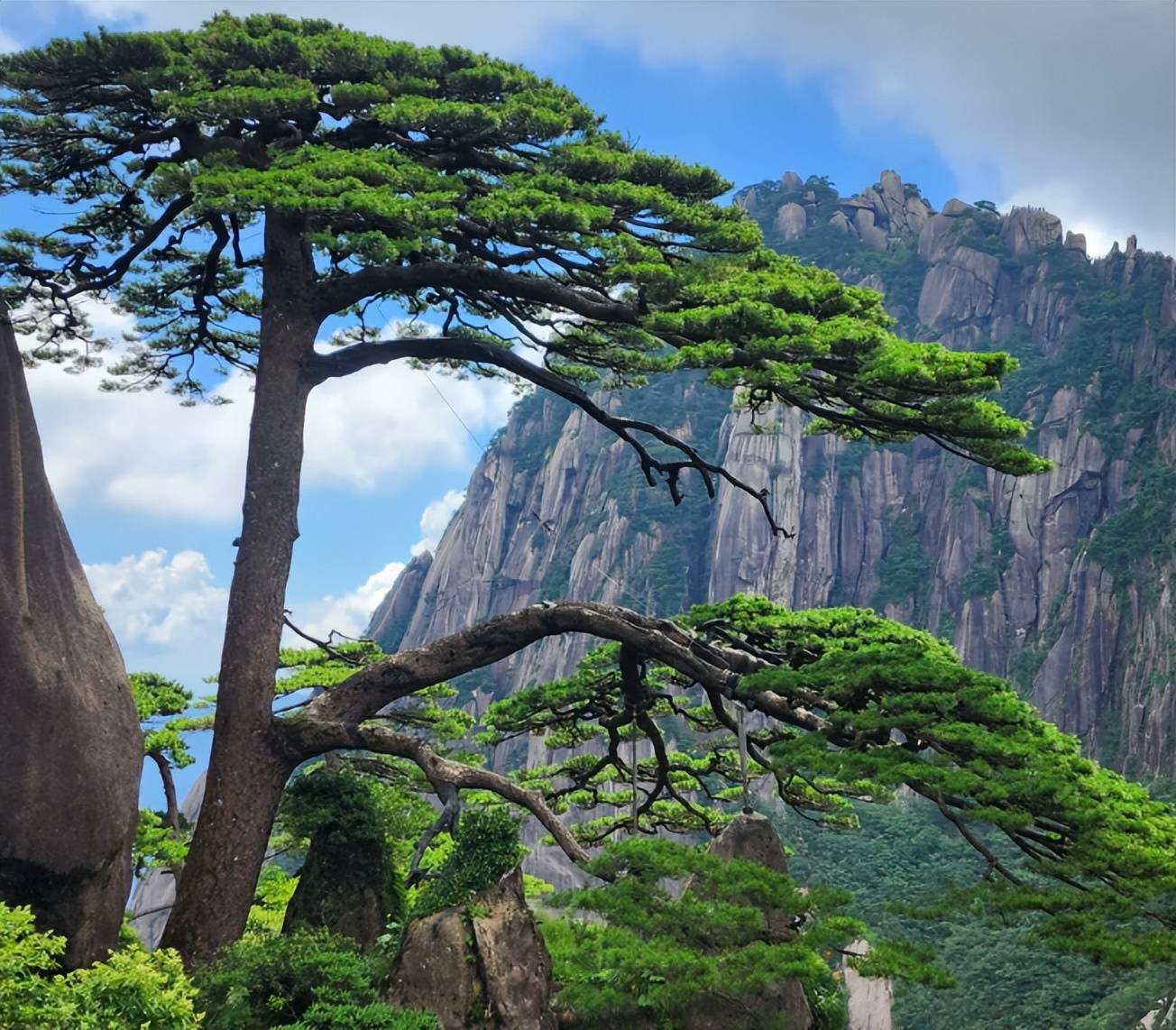 黄山旅游，一步一景皆是诗画人间