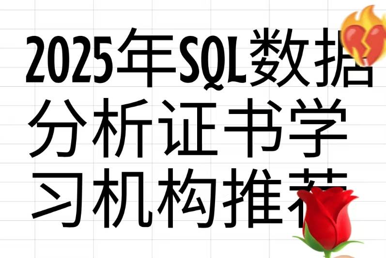 2025 年 SQL 数据分析证书学习机构推荐:独家分析与学习攻略_企业_Tableau_行业