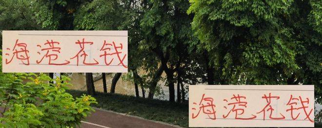 海港花钱至少听见响 申花也听见一点 今年就差北京国安了！