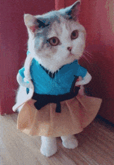 搞笑GIF：姑娘，你在这39°的天气穿裙子骑共享电动车，会不会有点？