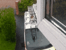 搞笑GIF：姑娘，你在这39°的天气穿裙子骑共享电动车，会不会有点？