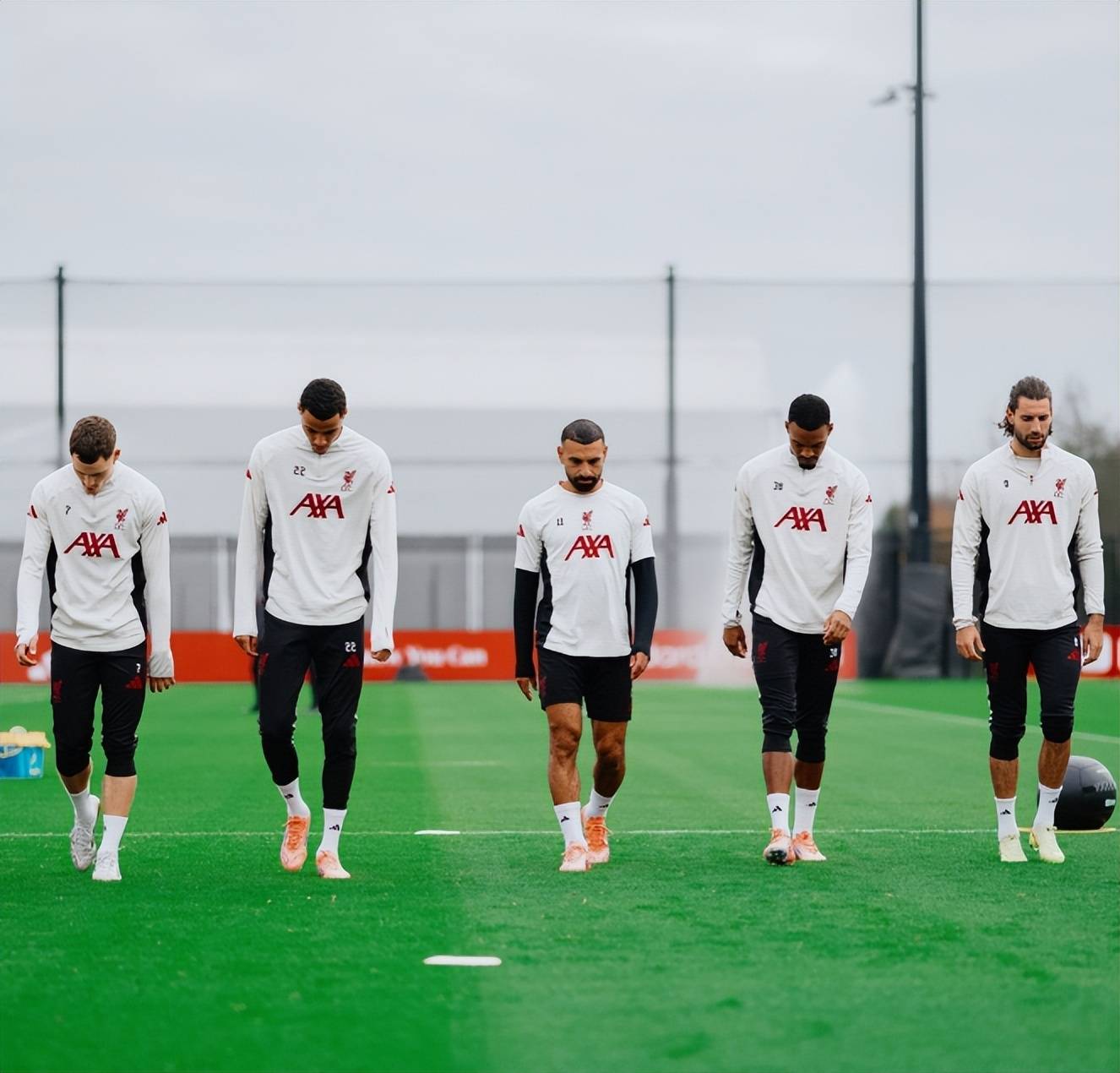华体会体育huatihuisports.com