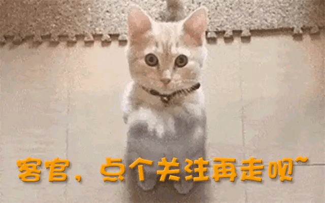 加盟德甲仅4月，28岁樊振东回归全运会，让人欣慰的一幕出现了