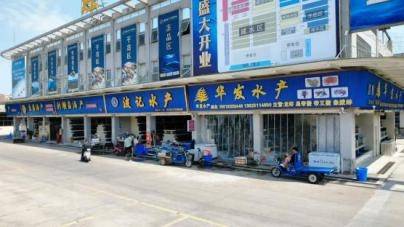 潮起新程·迎海领鲜|2025年迎海水产交易中心水产商户联谊晚宴圆满举行(图12)