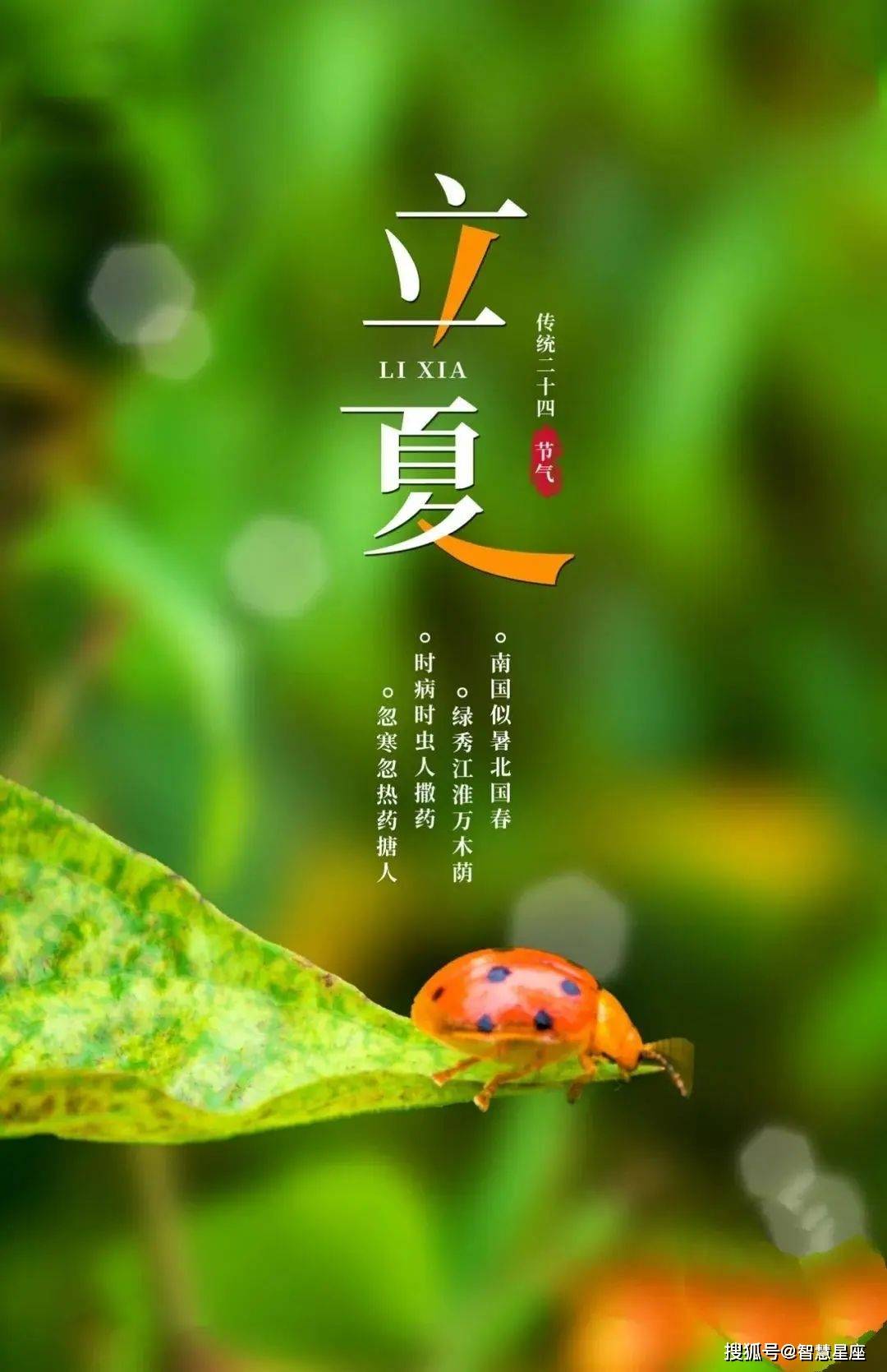 早安心语,立夏早安正能量语录句子,立夏节气图片