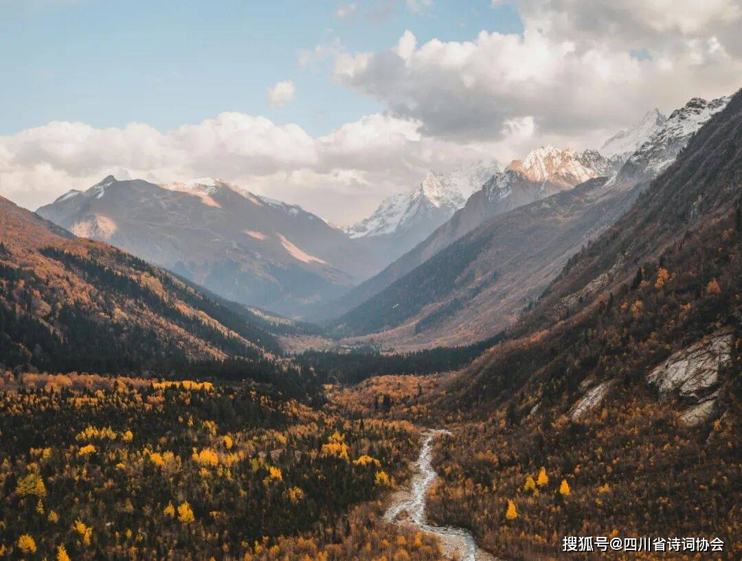 蜀诗-诗海探骊-2025年第40期(总第76期)(图8)