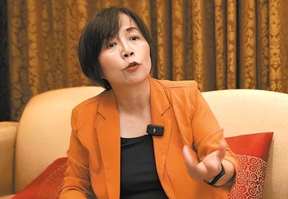 黄智贤曾公开说:我是中国的台湾人,结果回台3天后节目就被下架