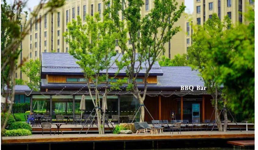 河南足球要崛起！13家资产上亿金主打造豪门，未来问鼎亚冠冠军！