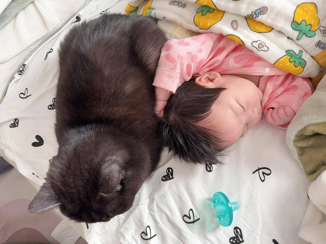 社区医生：怀孕别养猫了,二手烟反倒没事！孕妇无语了