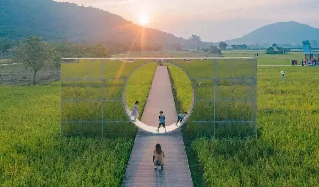 【广州三大秋色】11月15日丨上罗千亩柿子海+艾米稻香小镇+罗洞工匠小镇