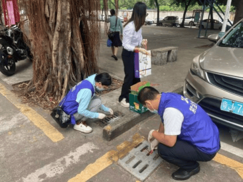 紫金保险广东分公司:环境清洁齐参与,爱国卫生共担当(图5) 紫金保险广东分公司:环境清洁齐参与,爱国卫生共担当(图5)