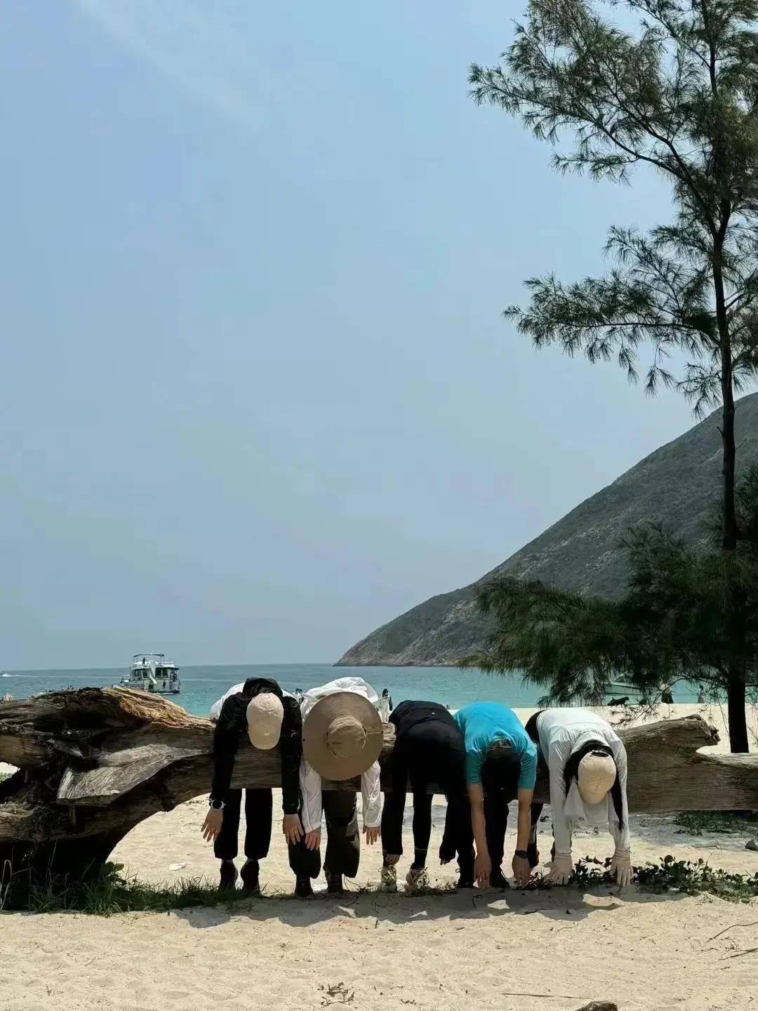 【麦里浩径】11.8日9日(两期)丨香港麦里浩经2段徒步,国家地理杂志推荐,亚洲十大最美徒步路线之一