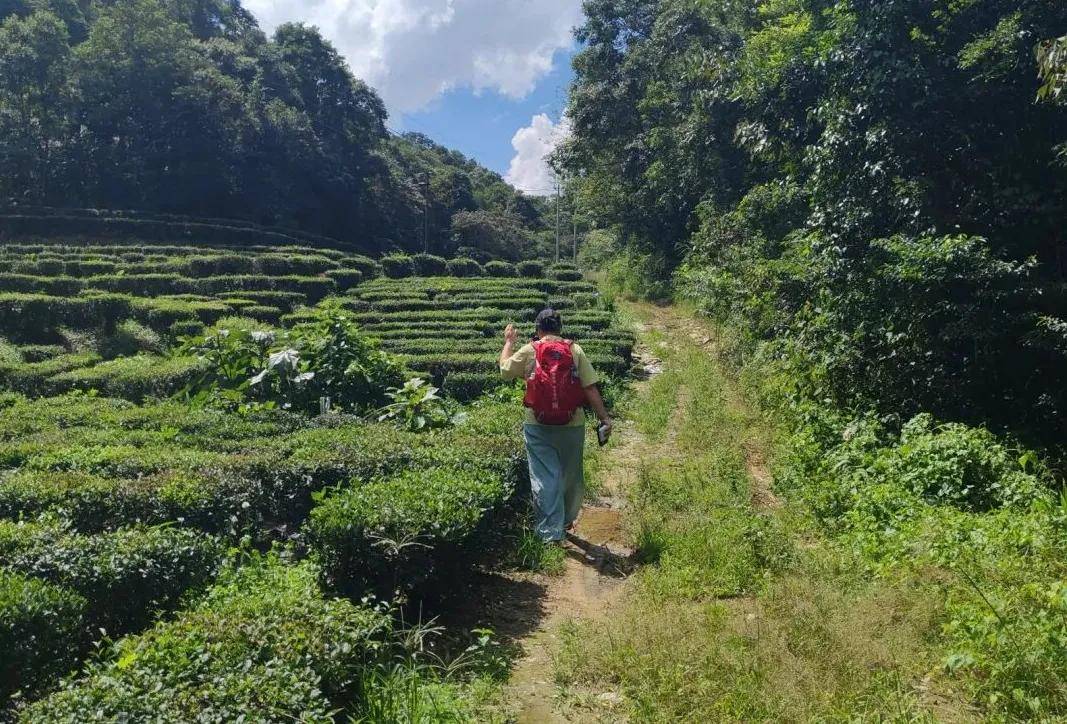 11月09日-【第十一届惠州30公里】全民健身,第十一届惠州30公里徒步活动开放报名!