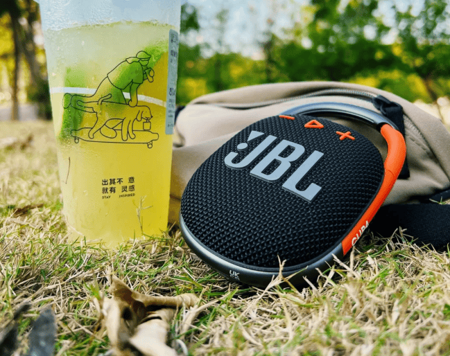 蓝牙音箱哪款音质最好？2025年公认十大音质最好的蓝牙音箱推荐